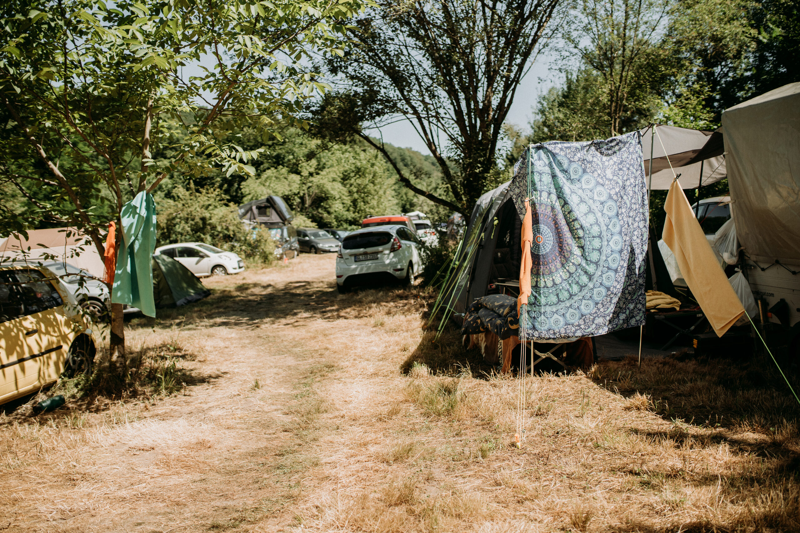 Autos und Zelte auf der Camping-Wiese am Waldrand